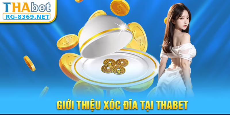 Giới Thiệu Chung Về Game Xóc Đĩa Tại Thabet